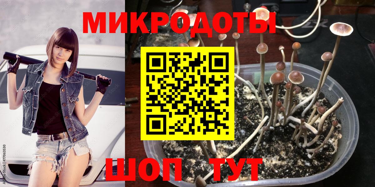 Вятские Поляны  Галлюциногенные грибы мухоморы  что такое   Вход с VPN 